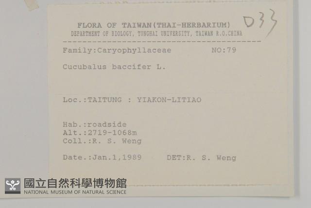 Accession Number:S075843 Collection Image, Figure 2, Total 2 Figures