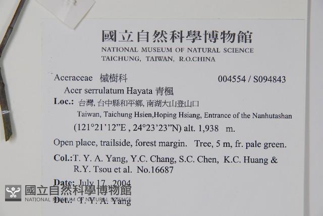 青楓藏品圖，第2張