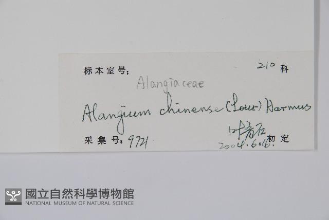 八角楓藏品圖，第2張