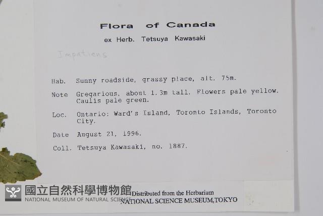 登錄號:S050543藏品圖，第2張