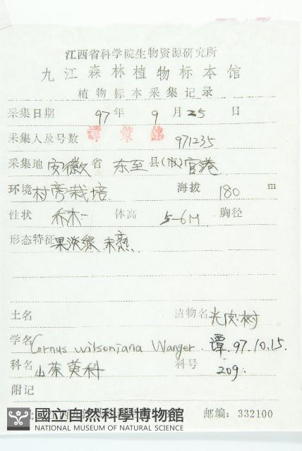 光皮樹藏品圖，第2張