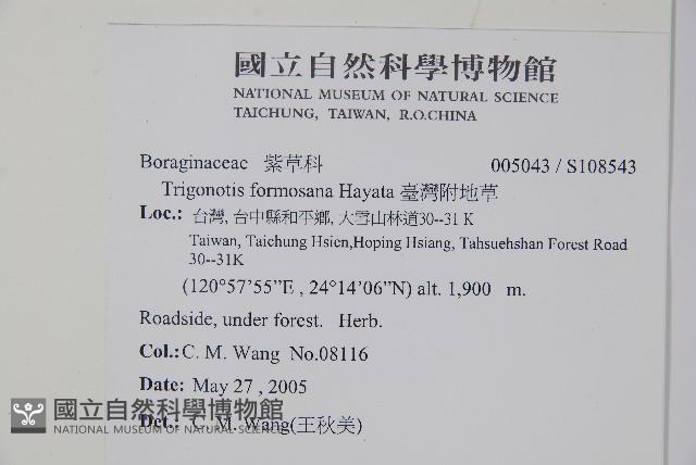 臺灣附地草藏品圖，第5張