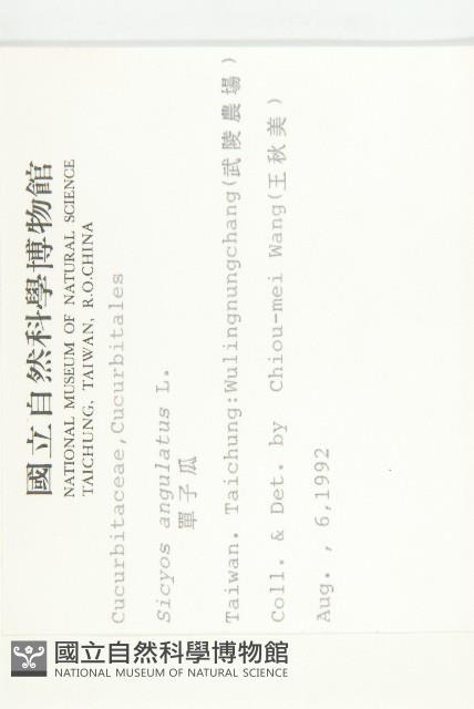 單子瓜、星瓜、刺果瓜藏品圖，第2張