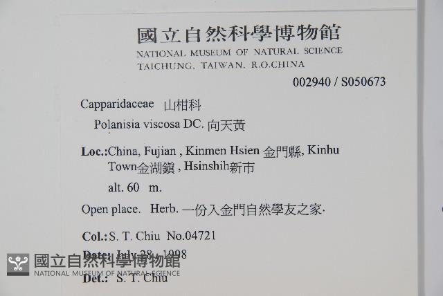 向天黃藏品圖，第2張