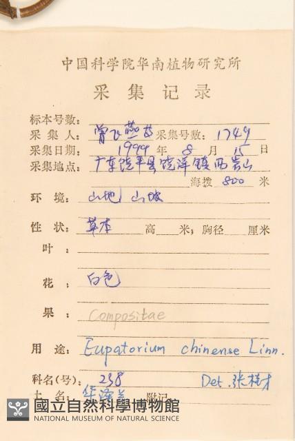 華澤蘭藏品圖，第2張