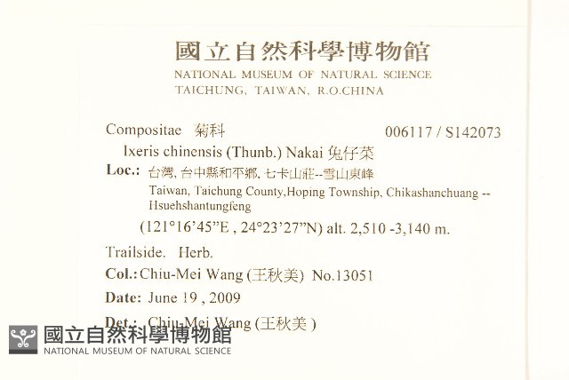 兔仔菜藏品圖，第2張