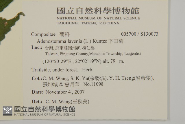 下田菊藏品圖，第2張