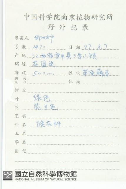 裂葉牽牛藏品圖，第2張