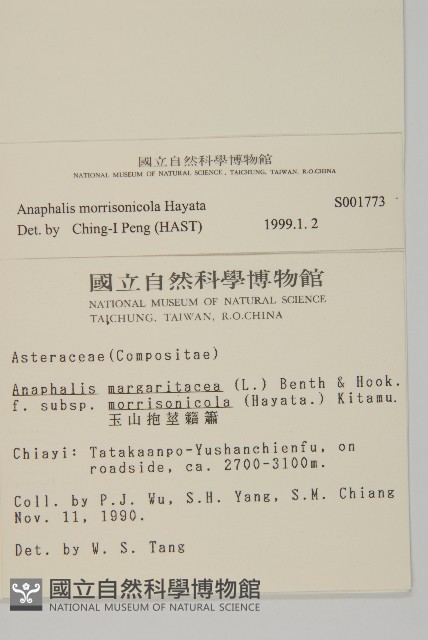 玉山抱莖籟簫藏品圖，第2張