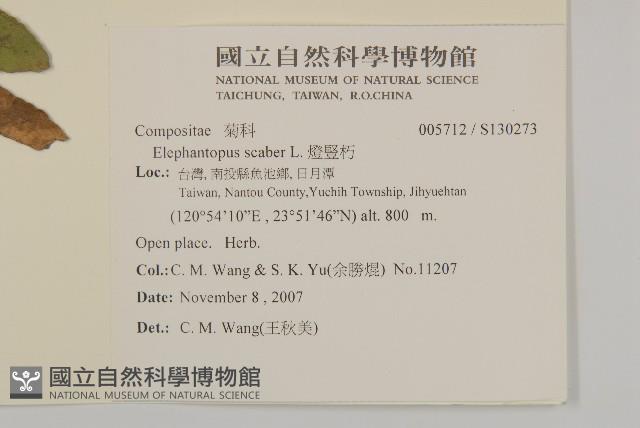 燈豎朽藏品圖，第2張