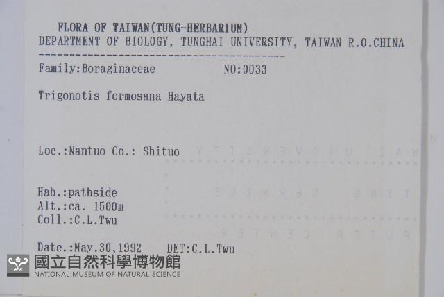 臺灣附地草藏品圖，第2張