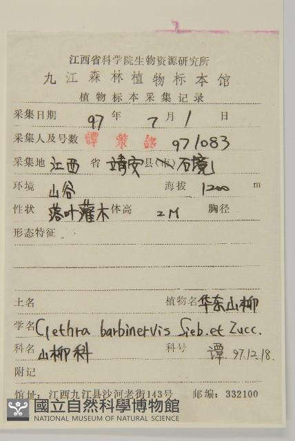 華東山柳藏品圖，第2張