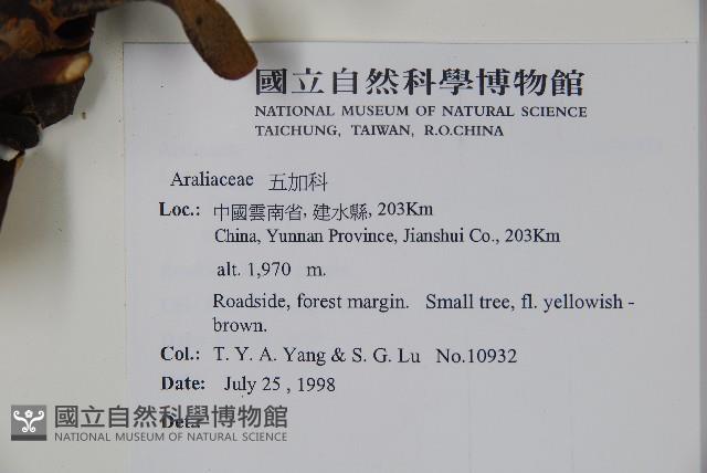 登錄號:S081473藏品圖，第2張