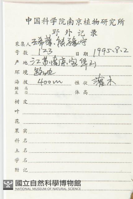 小葉胡頹子藏品圖，第2張