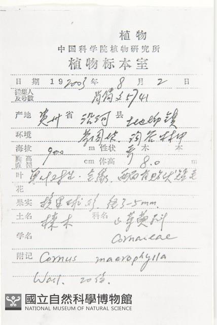 梜木藏品圖，第2張