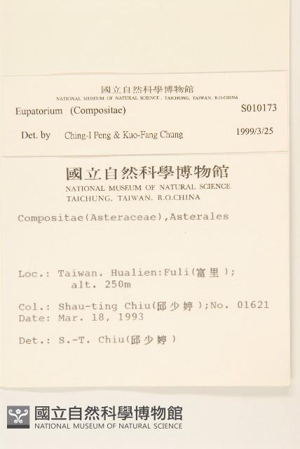 登錄號:S010173藏品圖，第2張