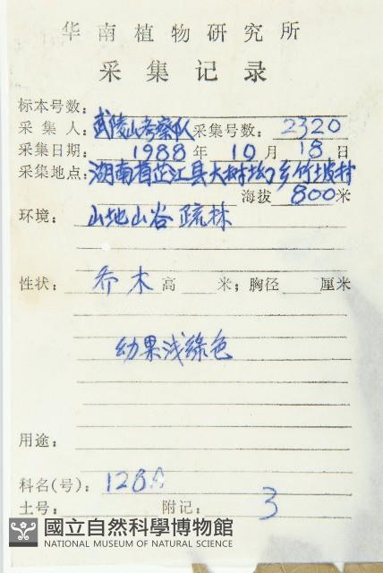 猴歡喜藏品圖，第2張