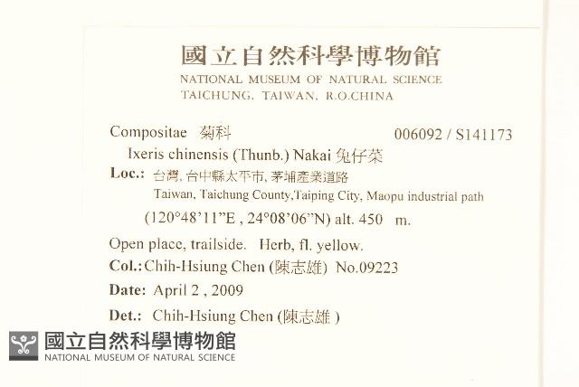 兔仔菜藏品圖，第2張