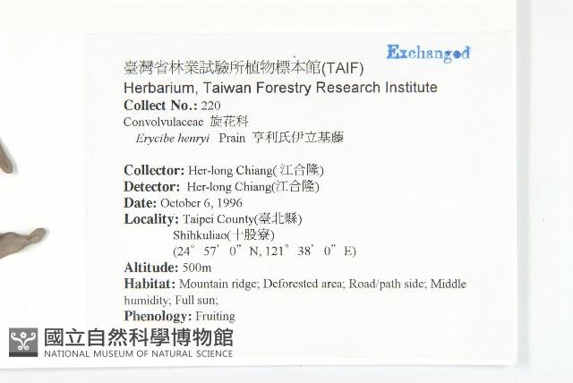 亨利氏伊立基藤藏品圖，第2張