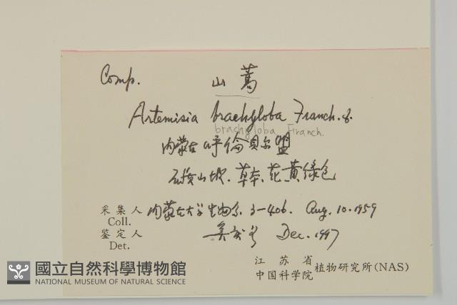 山蒿藏品圖，第2張