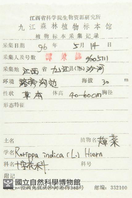 葶藶藏品圖，第2張