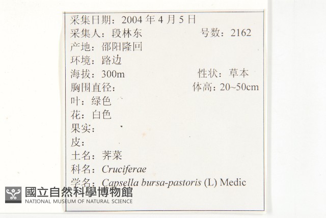 薺藏品圖，第2張