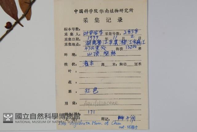 登錄號:S083873藏品圖，第2張