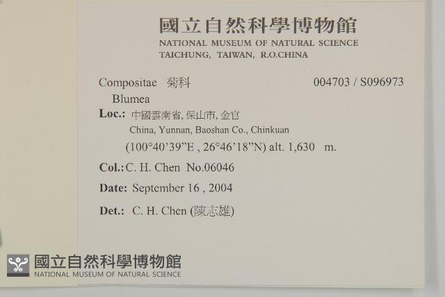 登錄號:S096973藏品圖，第2張