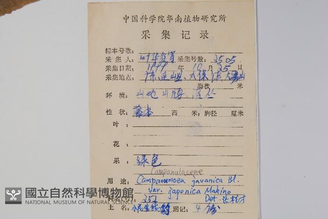 金錢豹藏品圖，第2張