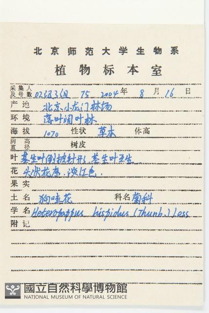 狗娃花藏品圖，第2張