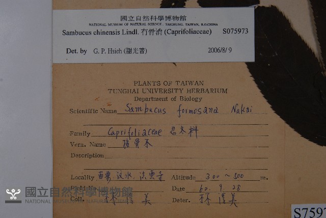 冇骨消藏品圖，第2張