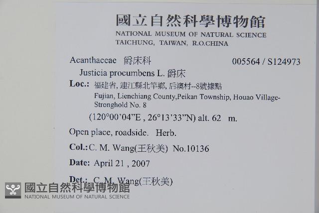 爵床藏品圖，第2張