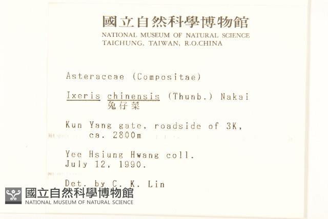 兔仔菜藏品圖，第2張