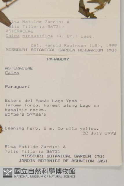 登錄號:S080573藏品圖，第2張