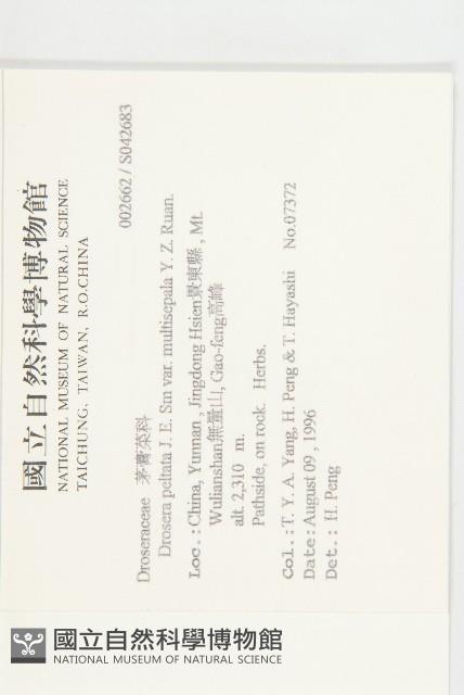 Accession Number:S042683 Collection Image, Figure 2, Total 2 Figures