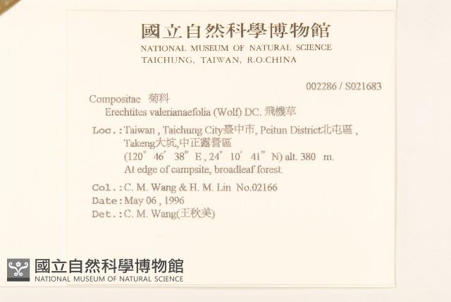 飛機草藏品圖，第2張