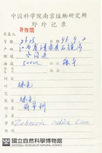 馬交兒藏品圖，第2張