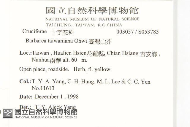 葶藶藏品圖，第2張