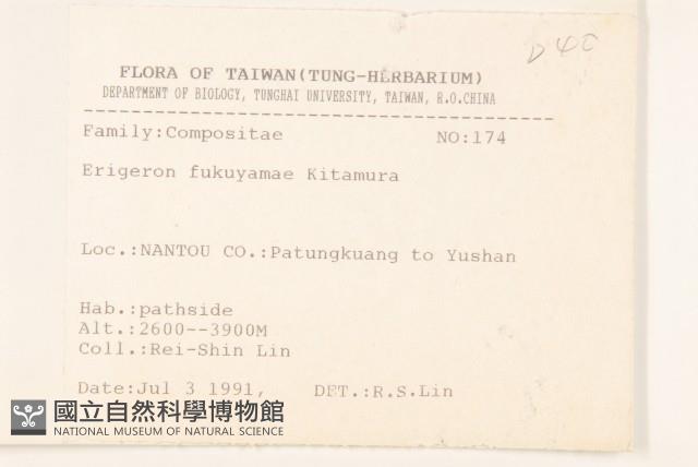 福山氏飛蓬藏品圖，第2張