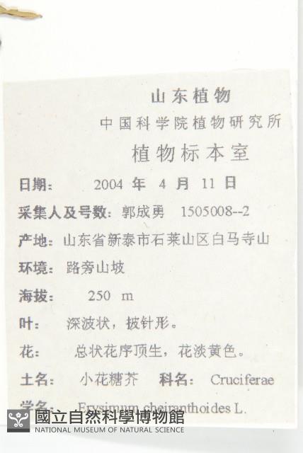 Accession Number:S100283 Collection Image, Figure 2, Total 2 Figures