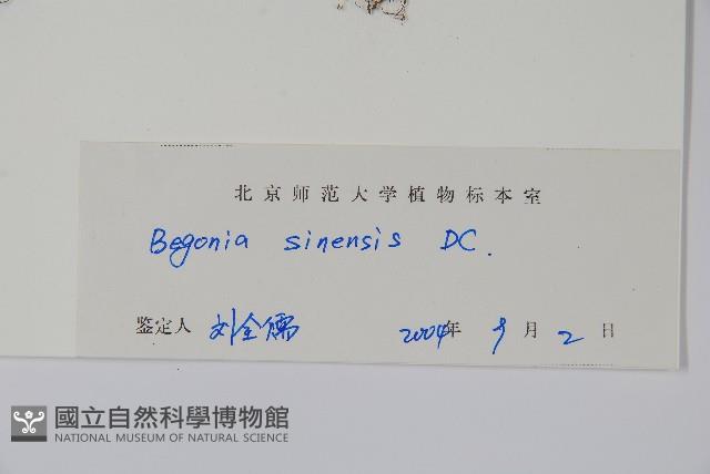 Accession Number:S111283 Collection Image, Figure 2, Total 2 Figures