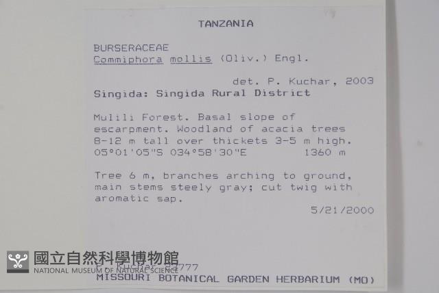 登錄號:S094283藏品圖，第2張