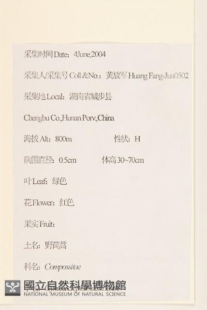 野茼蒿藏品圖，第2張