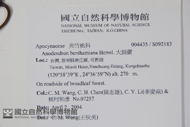 大錦蘭藏品圖，第2張