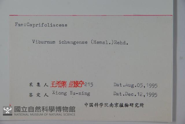 宜昌莢迷藏品圖，第2張