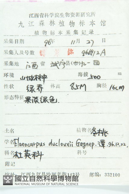 冬桃藏品圖，第2張