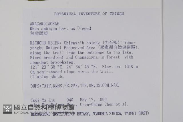 臺灣藤漆藏品圖，第2張