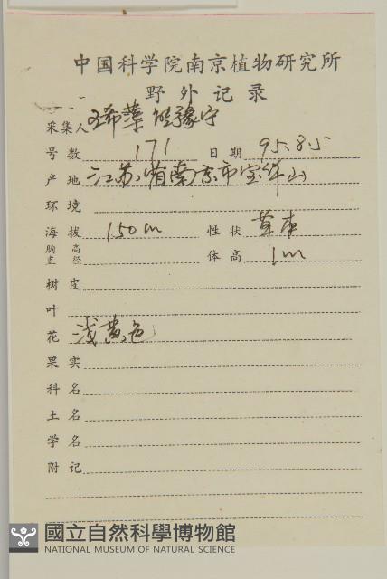 臭杏、土荊芥藏品圖，第2張