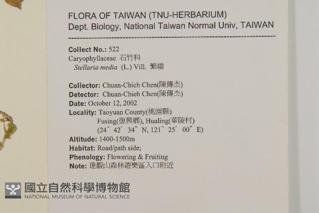 繁縷藏品圖，第2張