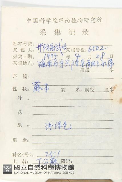 九來龍藏品圖，第2張